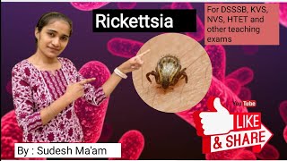 Rickettsia  Applied Biology for DSSSB  By Sudesh Maam [upl. by Michal]