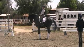 Grand Prix Dressage Horse Brilliant schooling Piaffe Passage 3 9 11 [upl. by Suilmann]