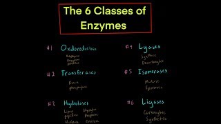 The 6 Classes of Enzymes w Mechanisms oxidoreductase transferase hydrolase lyase isomerase ligase [upl. by Kelci500]