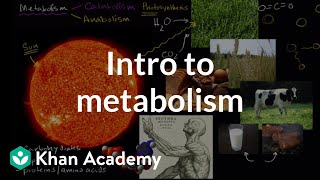 Introduction to metabolism anabolism and catabolism  Khan Academy [upl. by Tirzah554]