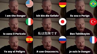 I Am The Danger in 9 Different Langugages GRID  Breaking Bad S4 EP6 [upl. by Hacceber441]