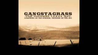 Gangstagrass  Street Soldier [upl. by Lyda]