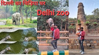 Delhi Zoo All Animals Tour Vlog  Chidiyaghar National Zoological Park Of Delhi New DelhiJan 2024 [upl. by Aniram383]