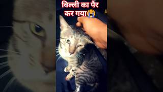 kaise din kate koi jatan dikha jasad love songviral song viralmusic music 💯💯💯💯💯💯💯 [upl. by Suter97]