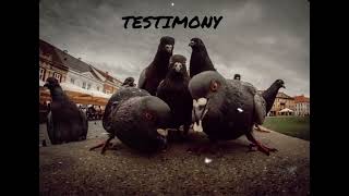 TESTIMONY ft H FLOW [upl. by Georges874]