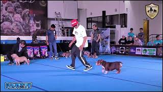 Barangay Bullyz EXOTIC WAR 10  Ring 2  PBKC 09212024 [upl. by Redfield661]