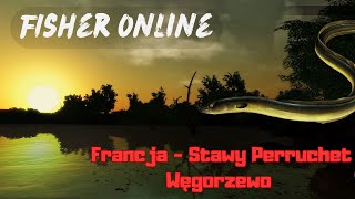 Fisher Online Od zera Francja Stawy Perruchet  Węgorzewo  gameplay PL [upl. by Vergos230]