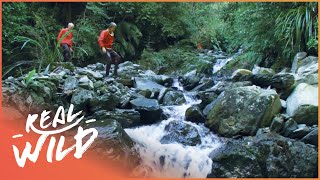 The Beautiful Natural Landscape Of River Mokihinui  Wild River Journey [upl. by Yesnek160]