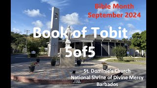 Bible Month  Book of Tobit 5 of 5 [upl. by Modern730]