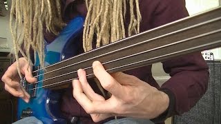 Fretless Funk Rock Bass Grooves [upl. by Eikciv886]