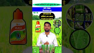 👌 उलाला कीटनाशक दवा 👌 Upl Ulala Insecticide  Flonicamid 50 WG  insecticide pestcontrol shorts [upl. by Hemetaf]