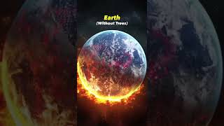 quotAnthropogenic Climate Change The Devastating Impact of Human Activity on Earths Ecosystemsquot [upl. by Gahl]