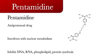 Pentamidine [upl. by Notsew]