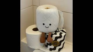 Jellycat Amuseable Toilet Roll [upl. by Repohtsirhc933]