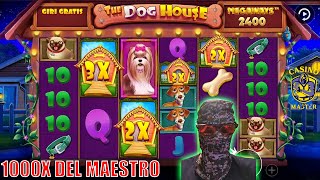 1000x 💰Del Maestro 👨‍🏫 Con Acquisti Bonus Alla DOG HOUSE MEGAWAYS 🐕  SLOT ONLINE [upl. by Cown340]