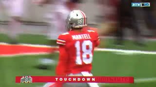 Tate Martell First Career TD pass to Terry McLaurin 51 yards  Rutgers vs Ohio State [upl. by Backler]