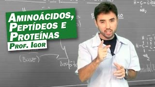 Química  Aminoácidos Peptídeos e Proteínas [upl. by Oicul]