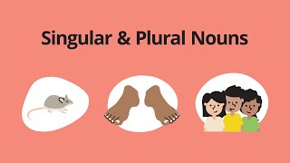 Singular amp Plural Nouns – English Grammar Lessons [upl. by Eberhard721]