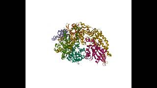 The Structural Basis for Cdc42Induced Dimerization of IQGAPs [upl. by Auqeenahs809]