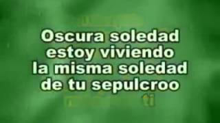 AMOR ETERNO ROCIO DURCAL KARAOKE YouTube [upl. by Eceirehs]