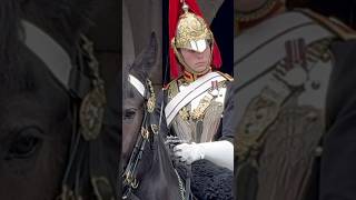 King’s Guards Kind Gesture to a Young Tourist [upl. by Euqinamod]