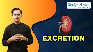 Excretion  Renal Failure and Dialysis  Excretory System in Human  Disorder of Kidney [upl. by Ateinotna240]