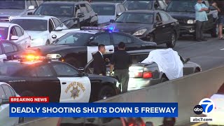 2 killers on the run after deadly 5 Freeway shooting Heres what we know [upl. by Irah525]