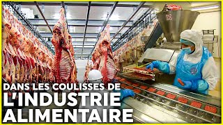 Alimentation industrielle  quy atil vraiment dans nos assiettes [upl. by Aelyk]