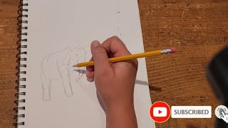 drawing elephant time lapse [upl. by Atiuqihs]