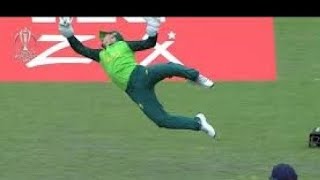 Top 10 Best Wicket Keepers Catches in Cricket History [upl. by Eletnahs]