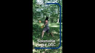 Hole 3 Salamonie Lake DGC discgolf innova [upl. by Raleigh]