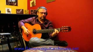 Juan Ramon Caro plays the Pedro de Miguel 2007 flamenco guitar for sale [upl. by Alohcin]