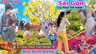 Tưng bừng Chợ Hoa Tết Bến Bình Đông Sài Gòn 2024 Mai cổ thụ cập bến giá cúc vạn thọ quá rẻ [upl. by Theobald]