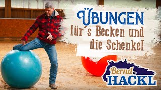 Beweglichkeit im Becken und den Schenkeln  Bernd Hackl erklärt 🐴 [upl. by Aracal640]