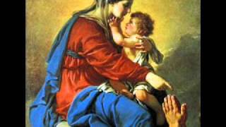 Salve Mater Misericordiae  Catholic Song of Praise to Mary [upl. by Osithe]