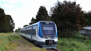 Tren Temuco  Pitrufquén [upl. by Arratoon687]