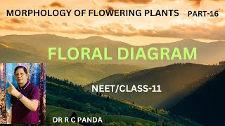 MORPHOLOGY OF FLOWERING PLANTS  FLORAL DIAGRAM NEET  CLASS11  DR RAMESH CHANDRA PANDA [upl. by Aleina]