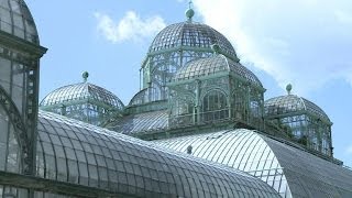 Ouverture des Serres Royales de Laeken en Belgique [upl. by Short]