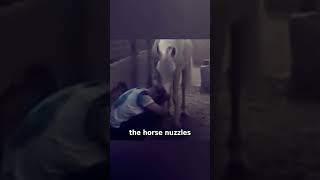 Horse’s Love and Care Helped Its Heartbroken Owner Find Strength [upl. by Norabel584]