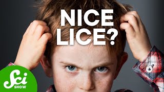 7 Horrible Truths About Lice [upl. by Lucine]