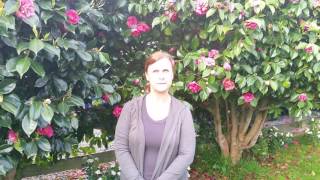 Virtual Gastric Band Review  Weight Loss Hypnosis Wellington NZ [upl. by Adnek]