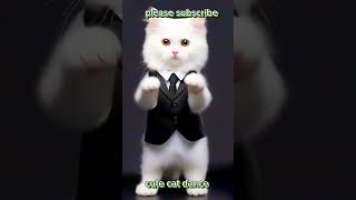 little cute cat dance cat dance subscribe support success youtubeshorts shorts viralvideo [upl. by Leorsiy]