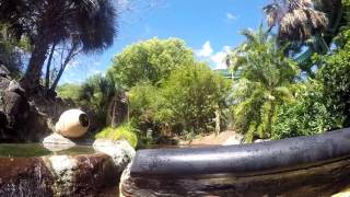 Tanganyika Tidal Wave Busch Gardens Tampa Bay Extinct [upl. by Ranique]