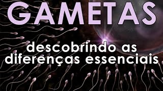 GAMETAS  Descobrindo as diferenças essenciais [upl. by Odarbil]