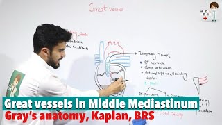 Great vessels in Middle Mediastinum Anatomy 59 [upl. by Baugh460]