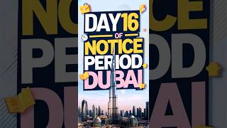 GOVERNMENT JOBS IN DUBAI FOR INDIAN Day 1630 Notice Period iamhvr dubaijobs 30daynoticeperiod [upl. by Annaed196]