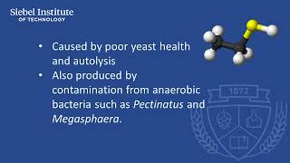 Mercaptan  Beer sensory characteristics causes and control factors [upl. by Godliman863]