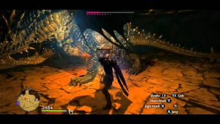 Dragons Dogma  Bitterblack Isle  Firedrake amp Frostwyrm [upl. by Marianne900]