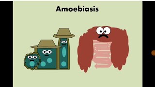 Entamoeba histolytica Amoebiasis الأميبا  الدوسنتاريا [upl. by Nell986]