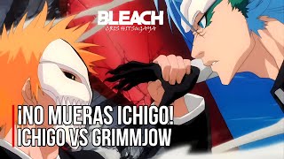 ¡BATALLA FINAL  ICHIGO vs GRIMMJOW  Español Latino [upl. by Bahr]